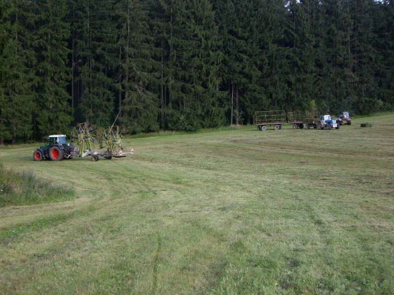 IMGP0716.jpg
