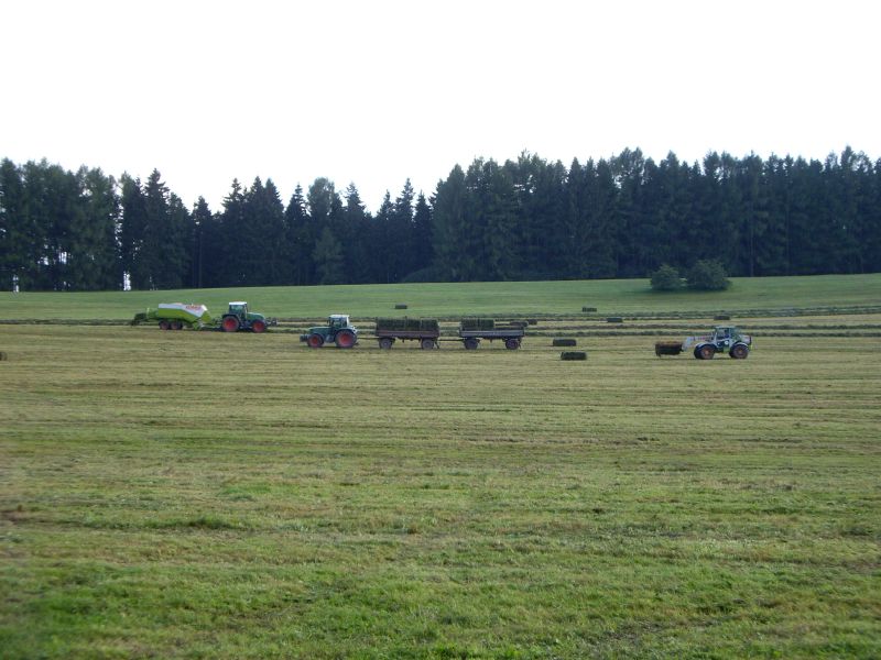 IMGP0732.jpg
