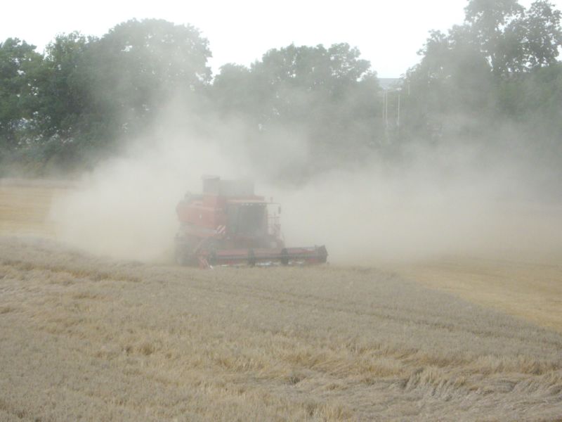 bilder/2024_07_30_2/DSC08740.jpg