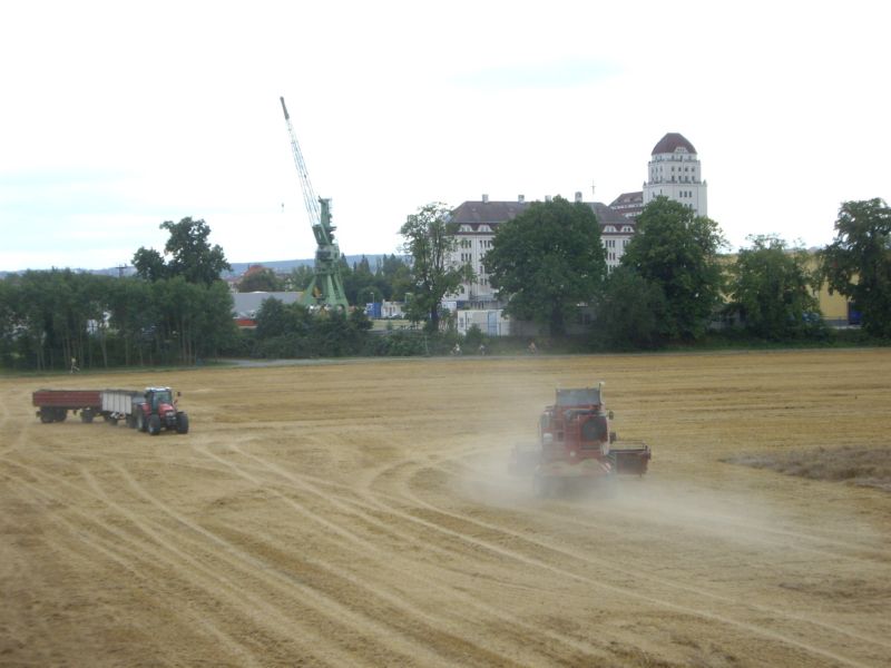 bilder/14_8_2008/IMGP1320.jpg