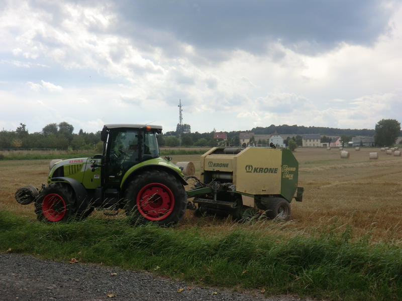 bilder/14_8_2011/CIMG4349.jpg