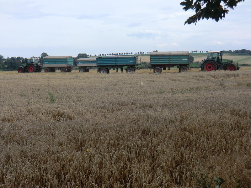 bilder/13_1_2014/CIMG0988.jpg