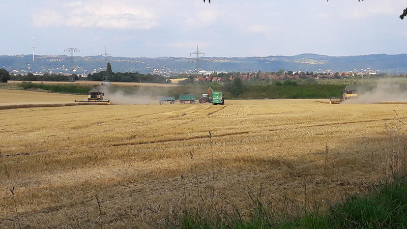 bilder/2024_08_23/DSC09116.jpg