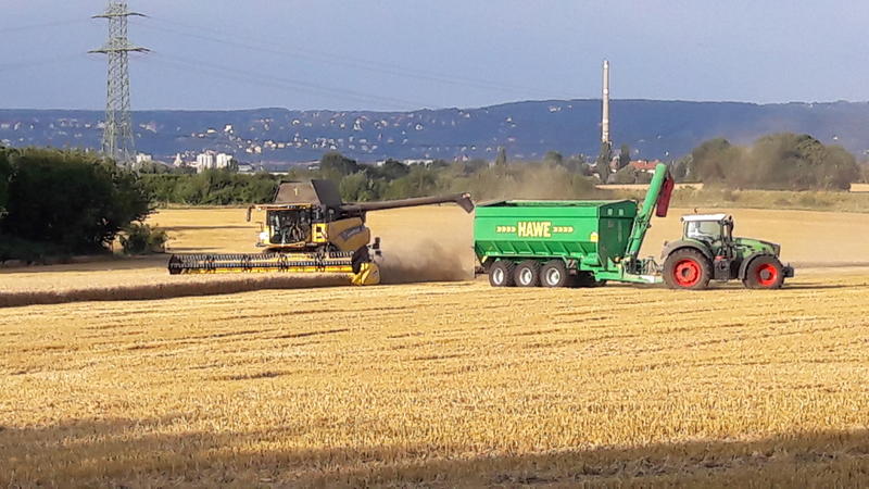 bilder/6_10_2014/CIMG8179.jpg