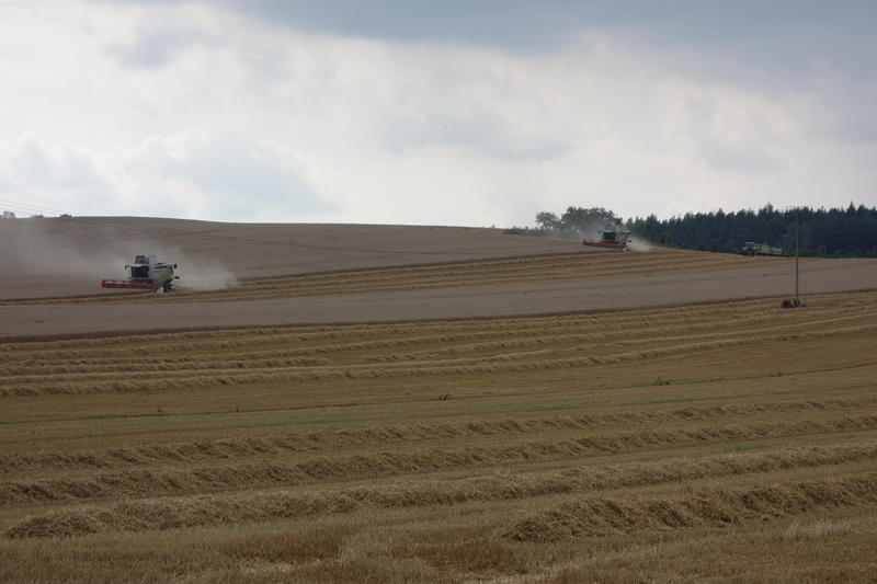 bilder/14_8_2016_3/DSC05437.jpg