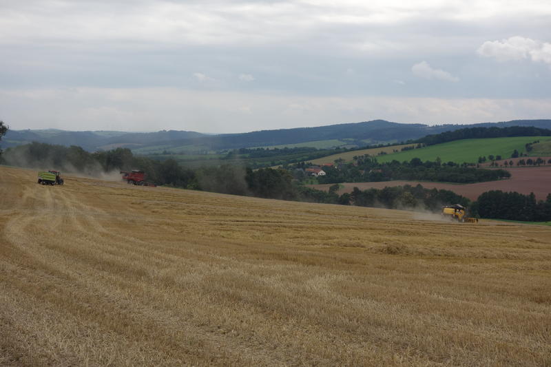 bilder/2_8_2015/DSC02020.jpg