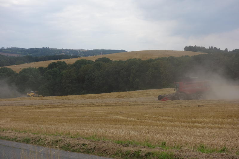 bilder/19_7_2003_2/lexion_+_fendt_824_2.jpg