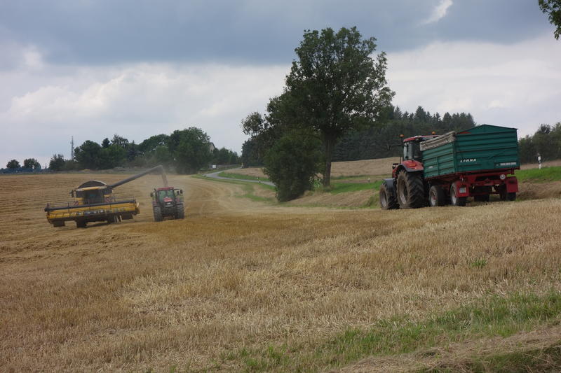 bilder/10_6_2010/IMGP1217.jpg