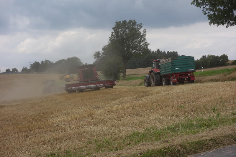 bilder/18_6_2002/zt_303_+_claas_ranger_8.jpg