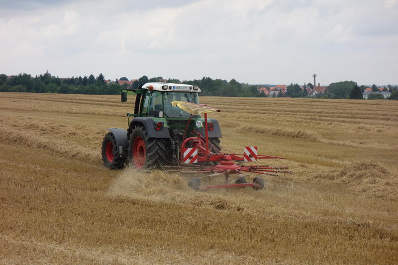 bilder/6_10_2012/CIMG1584.jpg