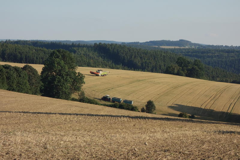 DSC09747.jpg