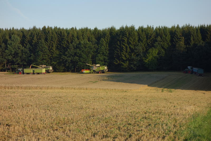 DSC09756.jpg