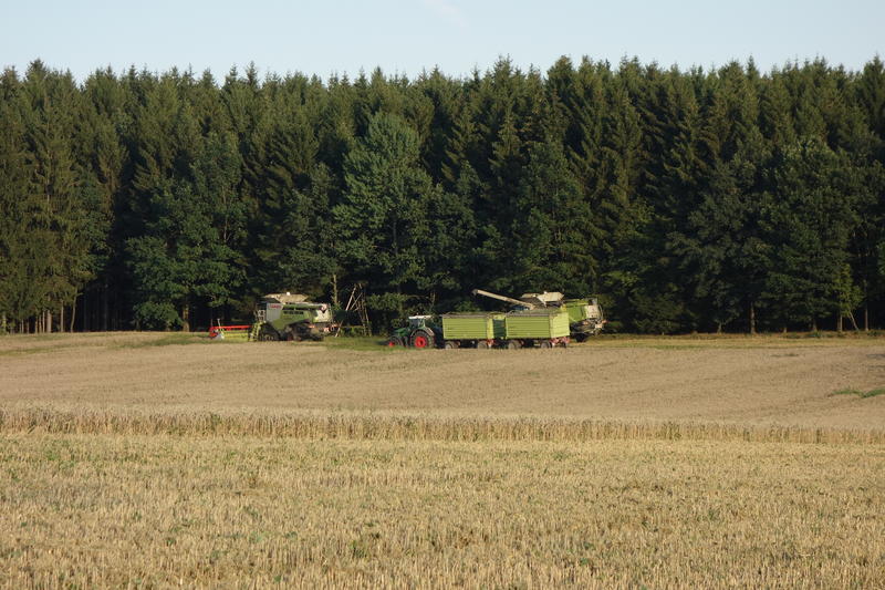 DSC09757.jpg