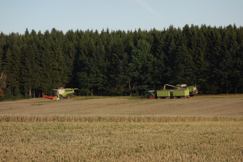 DSC09758.jpg