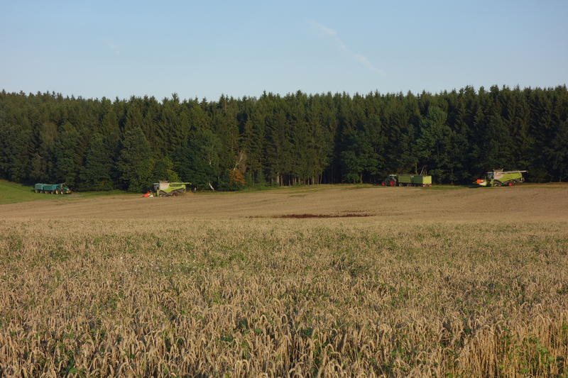 DSC09760.jpg