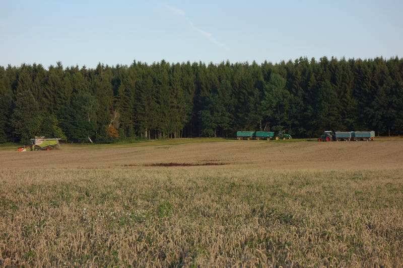 DSC09765.jpg