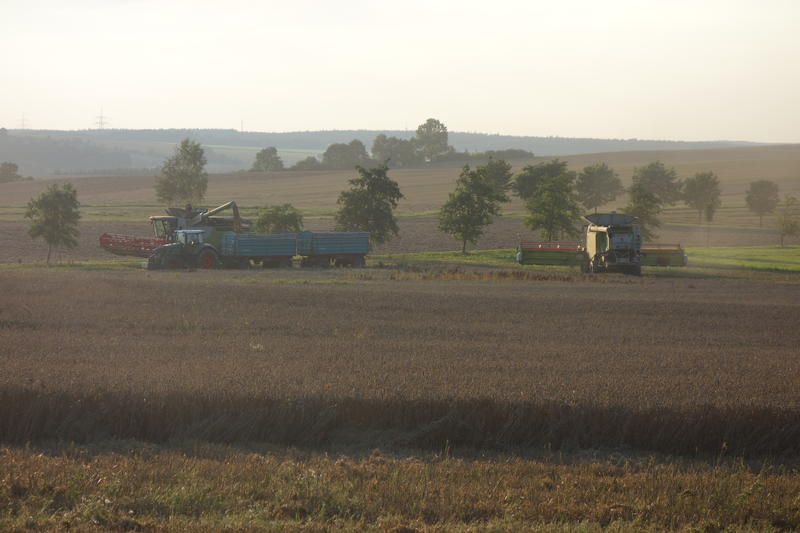 DSC09772.jpg