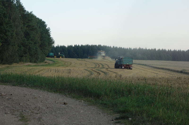 DSC09798.jpg