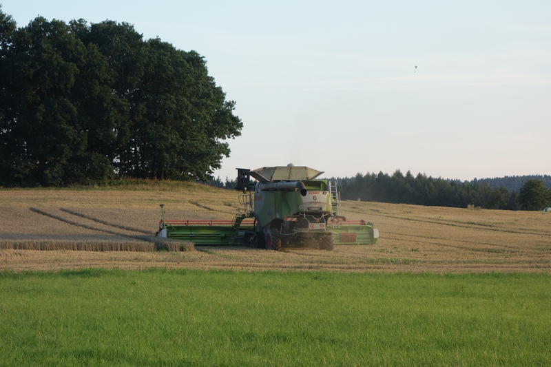 bilder/14_8_2017/DSC09814.jpg