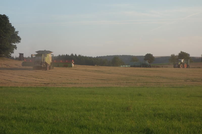DSC09831.jpg