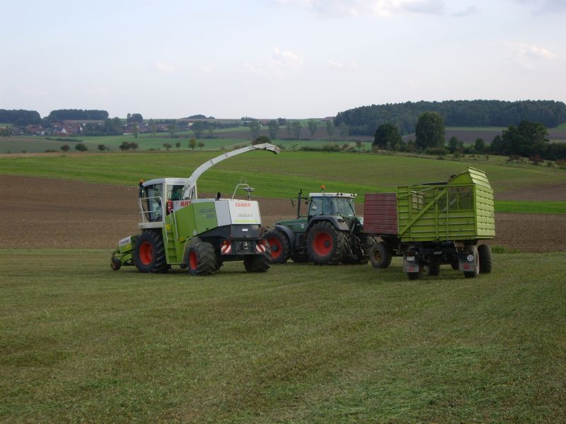 bilder/19_7_2012/CIMG9712.jpg
