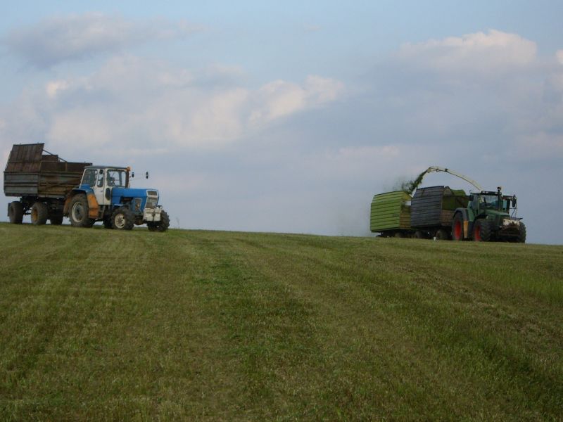 bilder/28_8_2012/CIMG0279.jpg