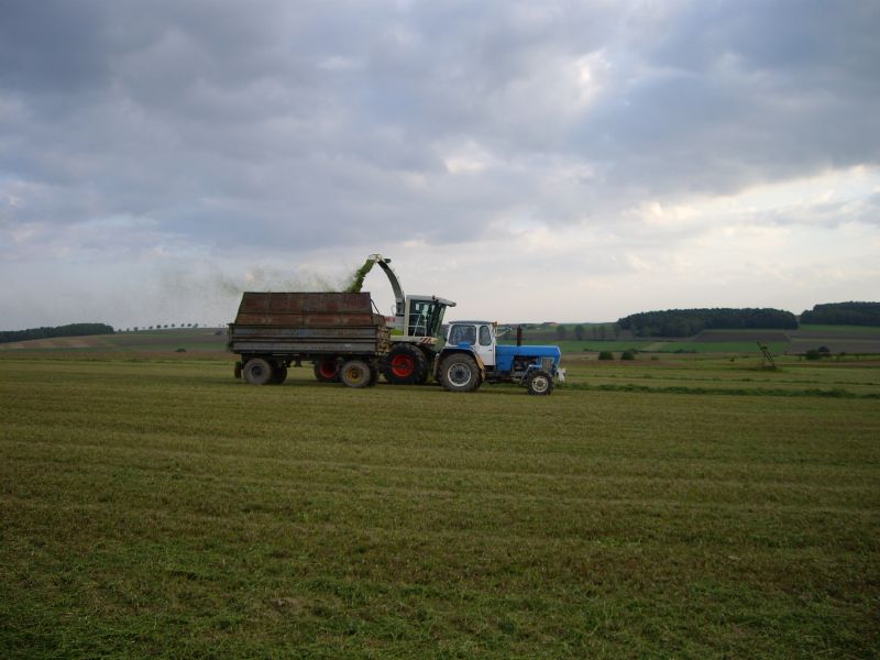 bilder/21_8_2014_2/CIMG7714.jpg