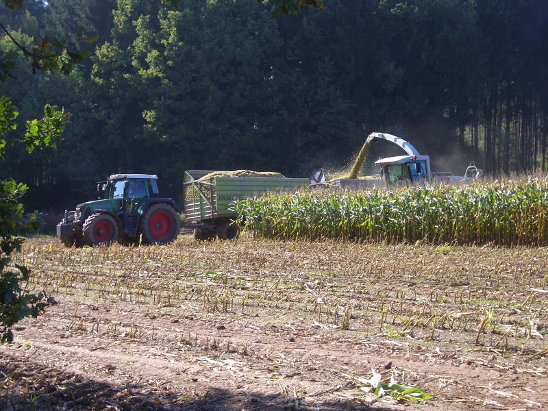 bilder/8_10_2014/CIMG8252.jpg