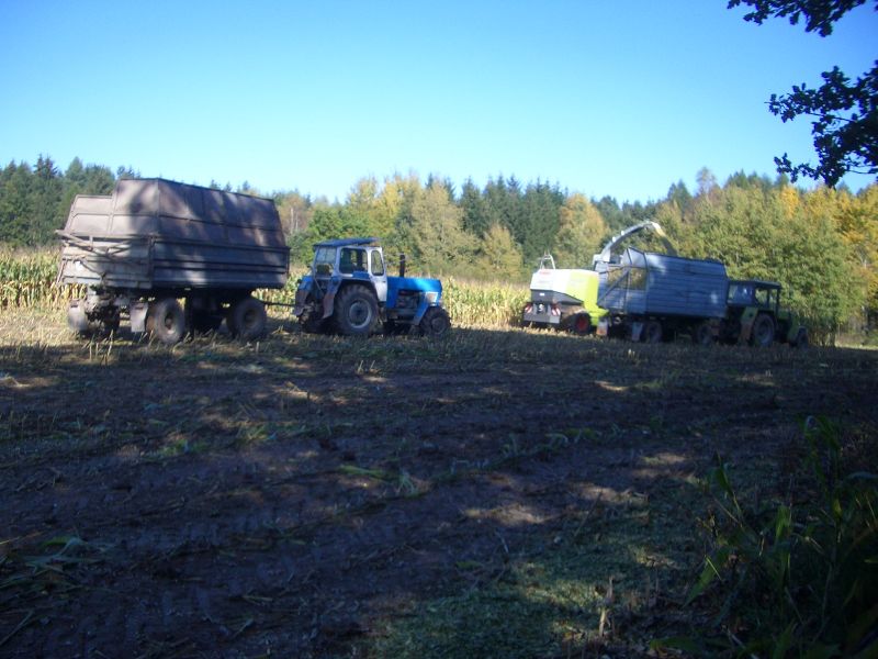 bilder/7_4_2004/zt_323_4.jpg
