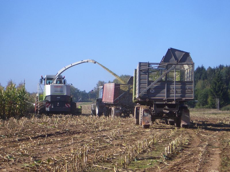 bilder/12_8_2013/CIMG9090.jpg