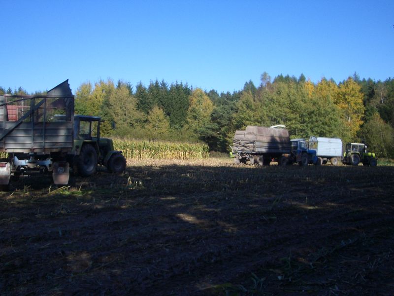 bilder/9_4_2002/terra_gator_+_tatra.jpg