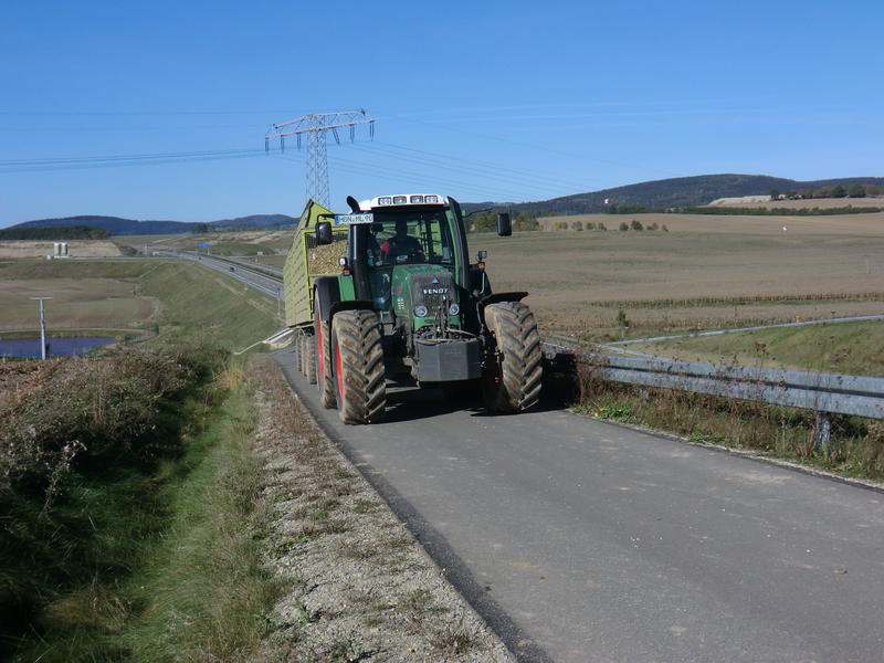 CIMG5343.jpg