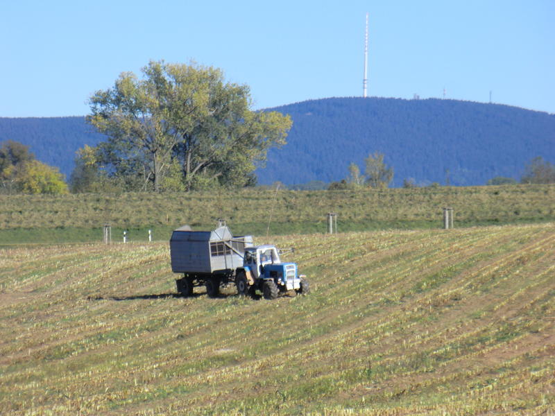 bilder/15_10_2011/CIMG5355.jpg