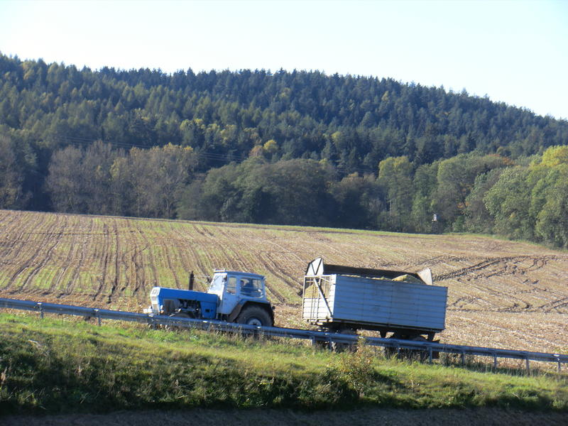 bilder/15_10_2011/CIMG5366.jpg