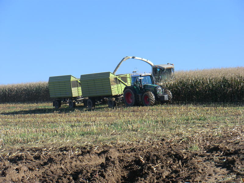 CIMG5367.jpg