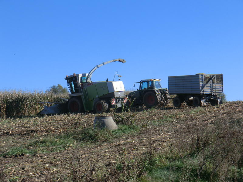 bilder/15_10_2011/CIMG5377.jpg