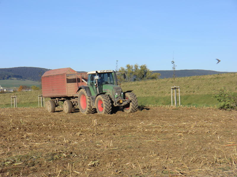 CIMG5401.jpg