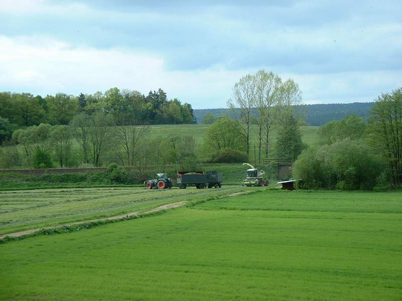 bilder/15_5_2002/jaguar_900_+_fendt_824_2.jpg