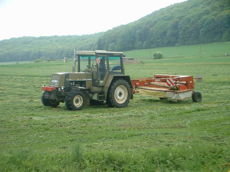 bilder/9_4_2002/terra_gator_2.jpg
