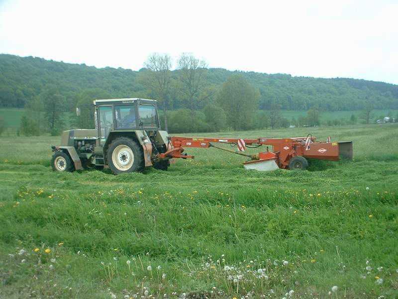 zt_323_5.jpg