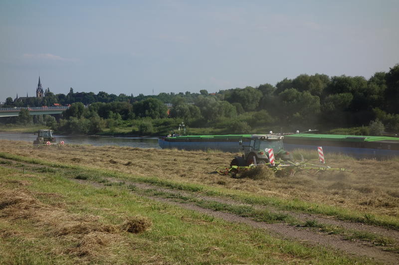 bilder/15_6_2015/DSC01591.jpg