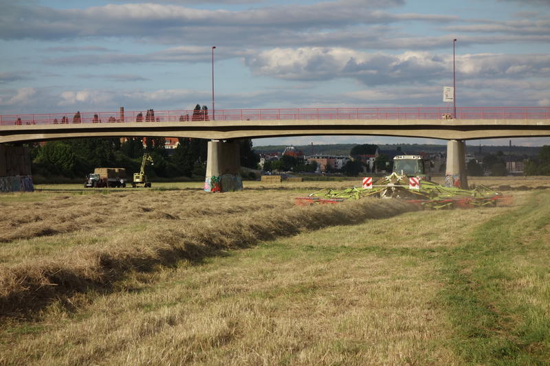 DSC01624.jpg
