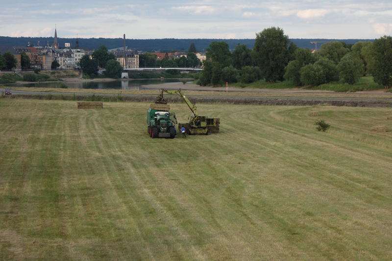 bilder/14_7_2007/IMGP0331.jpg
