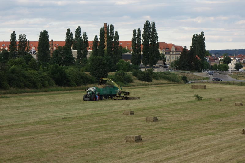 DSC01650.jpg