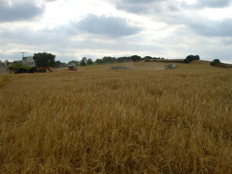 IMGP0282.jpg