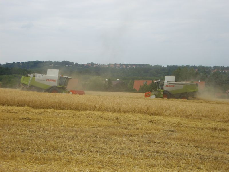 IMGP0334.jpg