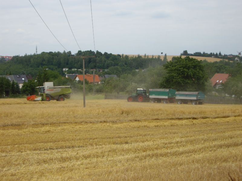IMGP0336.jpg