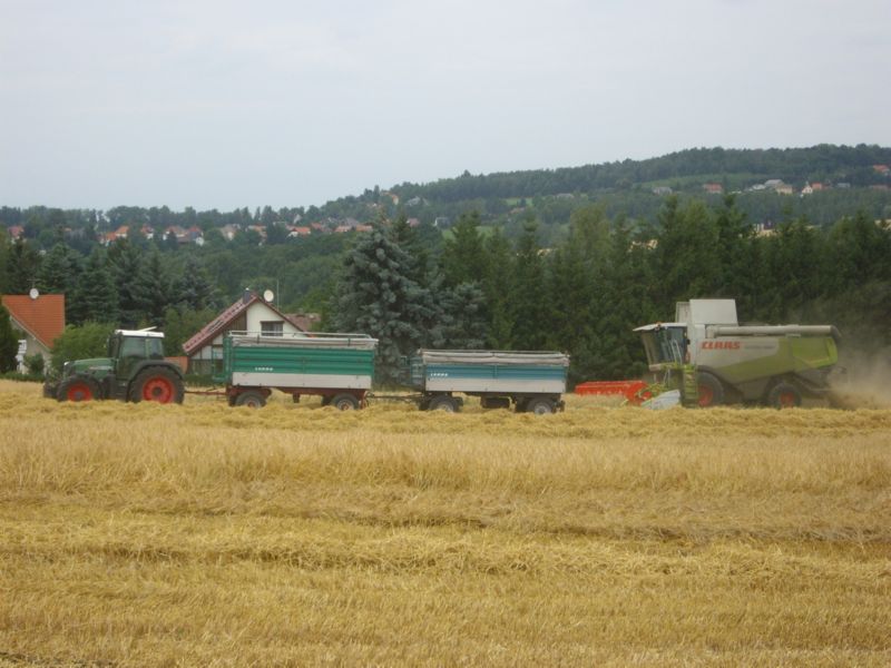 IMGP0337.jpg