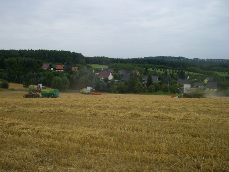 IMGP0362.jpg