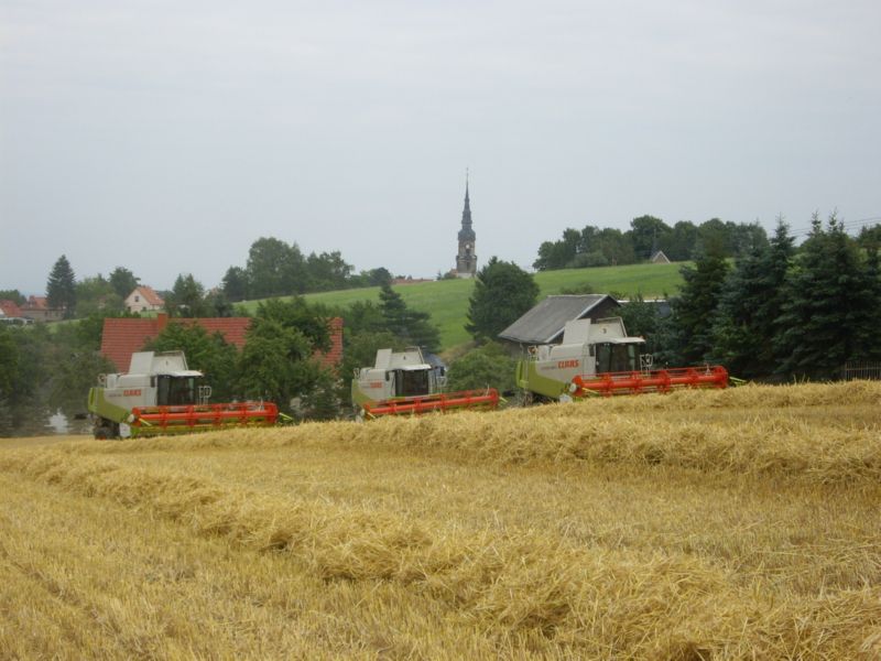 IMGP0373.jpg